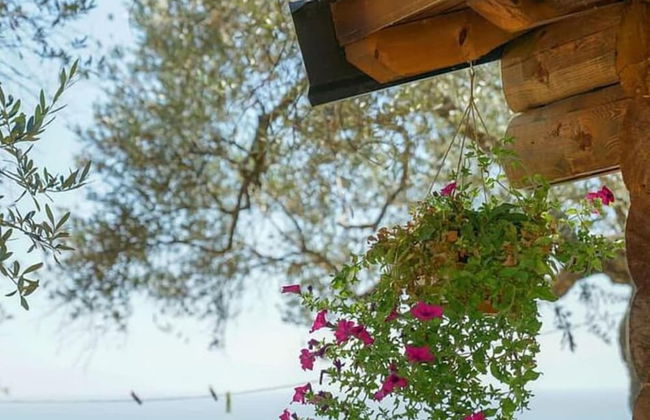 Holiday Park Tree - Foto 30