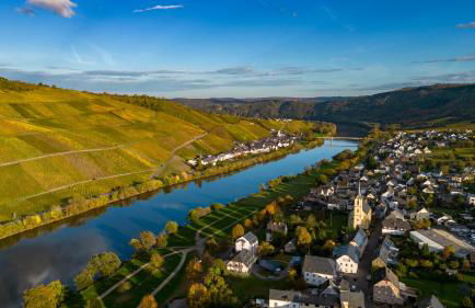 Moselappartements by Weingut Marco Adamy - Foto 58