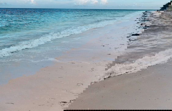 NEW Stunning Beachfront Condo at the Coral Beach - Foto 52