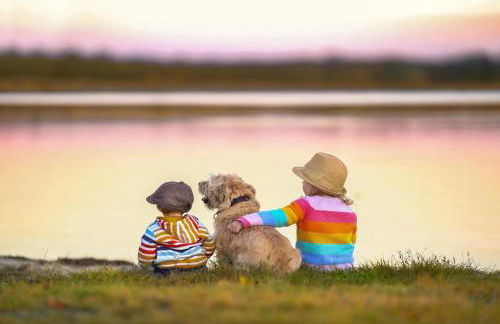 WiesenGlück - Ferienidyll mit Terrasse und Garten - Foto 21