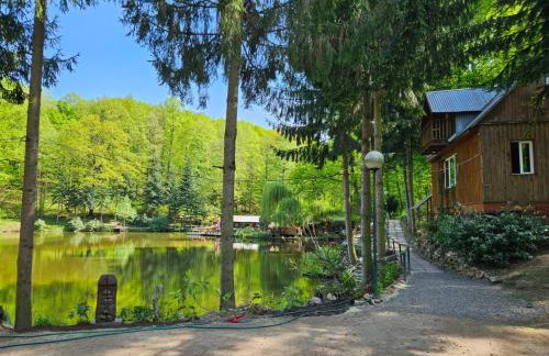 Apartament Daisy - Foto 13