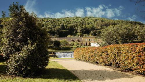Comtesse de Dordogne - Photo 2, Garden, Garden view
