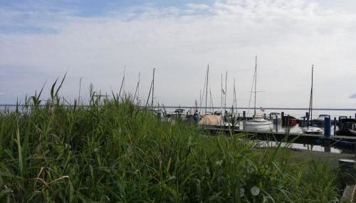 Blockhäuser an der Müritz - Foto 5