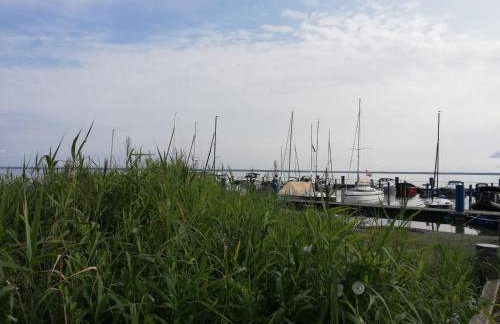 Blockhäuser an der Müritz - Foto 5