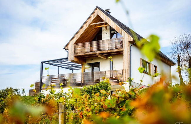 Vineyard Eco House Vukan - Photo 22