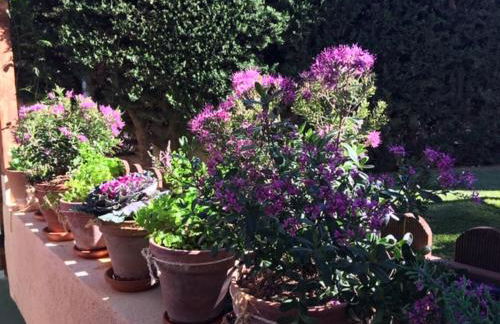 El Rinconcito de la Azohía - Foto 49