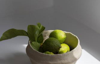 Solmar Suites - Foto 21