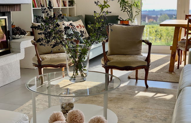 Stunning 6-bed Villa in Etoy - Foto 20