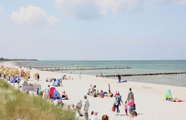 House, Boiensdorf - Photo 73