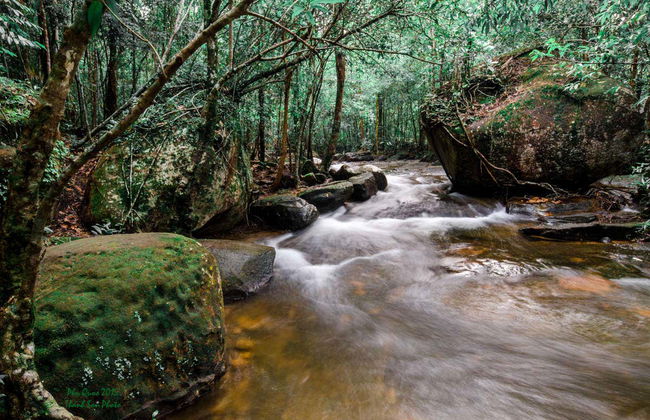 Tour pelo sul de Phu Quoc - Foto 2