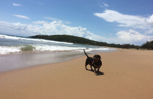 Sunbird Gardens - Foto 24