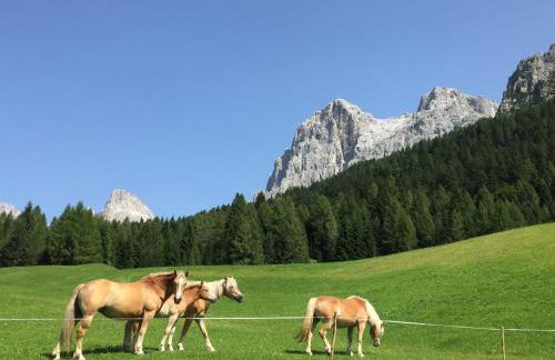 Casa Rosetta nel cuore delle Dolomiti - Foto 22