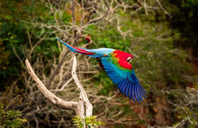 Buraco das Araras Hiking Tour - Photo 1