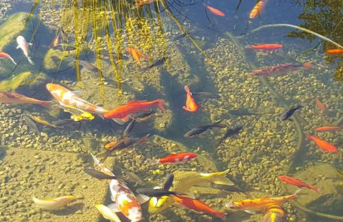 Apartment Komfortwohnung by Interhome - Foto 29