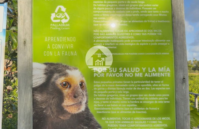 Paraíso na Reserva Imbassaí - Photo 33