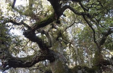 Casa Solotti - Foto 25