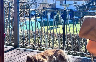 AllgäuLoft im Sennhof - Photo 27