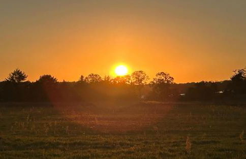 Ferienwohnung in der Schorfheide - Foto 17