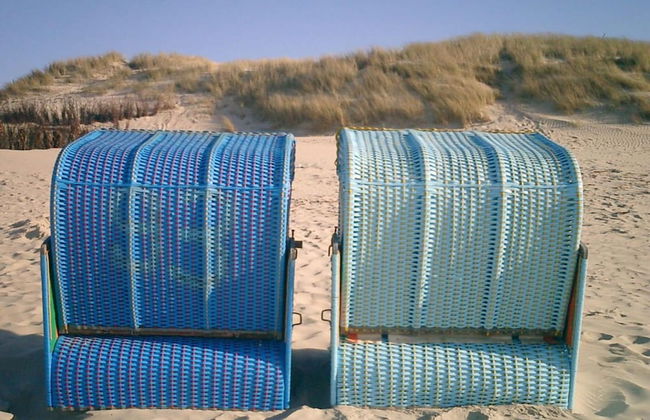 House Flora, Golden Knoepke - Foto 16