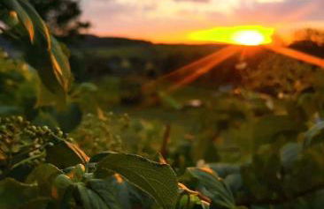 FeWo "Waldblick" und "Gartenblick" mit Pool und Kinderspielplatz - Foto 27