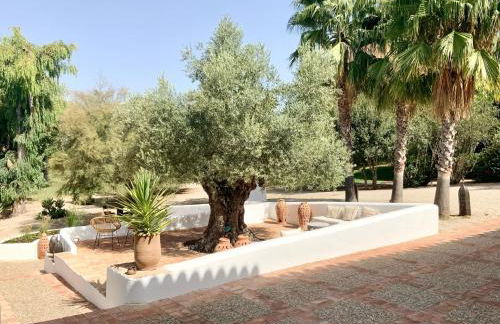 Cortijo Bablou - Foto 46