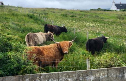 Solas Alainn Chalet - Foto 15