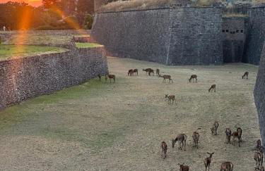Apartamento Casa la Rubia Jaca - Foto 28