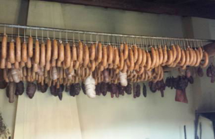 Moleiro de Bacal - Foto 49