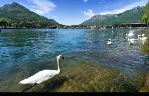 Casa Isola Viscontea - Foto 27