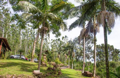 Canto da cascata - Foto 46