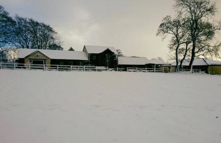 Dunamoy Cottages & Spa - Foto 34