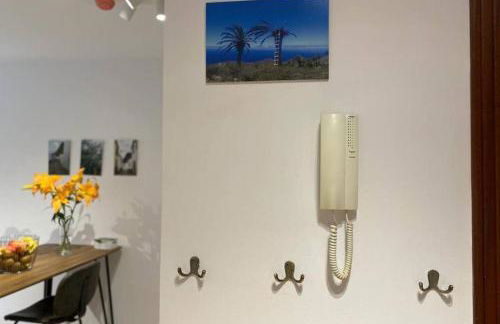 Risco de Zula - Foto 22