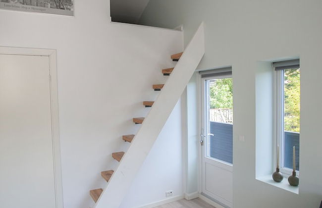 Stadium - Central - Park - Art Gallery - Foto 9