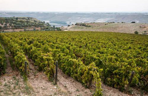 Locanda Gulfi - Foto 9