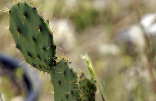 Apartments Solta - Foto 49