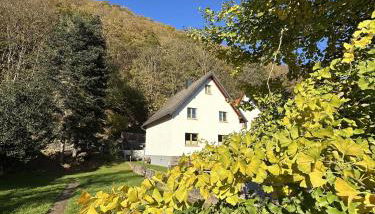 Ferienhaus Ginkgo Biloba - Foto 2, Garden view
