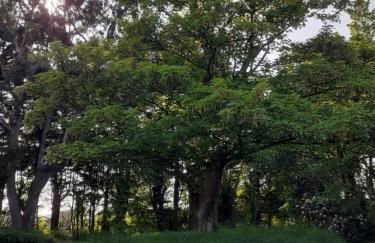 Woodpecker Cottage - Photo 9