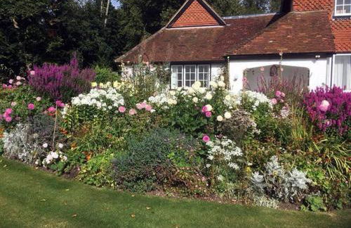 Highfield Lodge - Photo 3