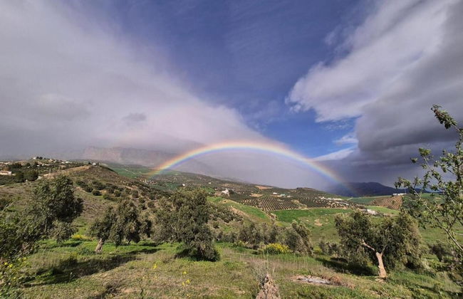 Tranquil Mountain Hideaway - Photo 32