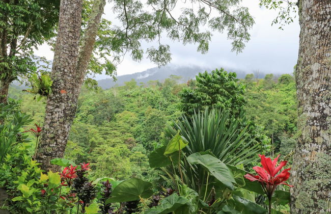 Mulia Garden Bungalows by ZUZU - Foto 11