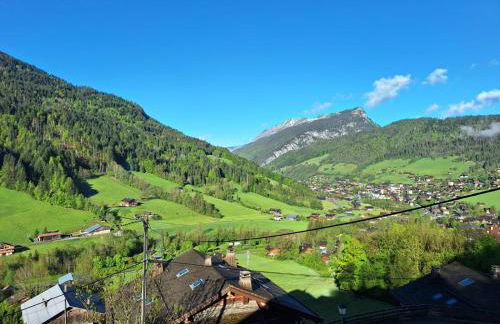 La Loulettaz - Foto 9