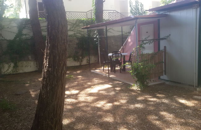 Parco delle Viole - Foto 35