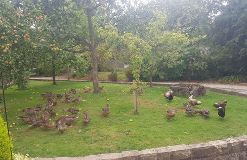 1 Bed in Ashford in the Water PK547 - Foto 19