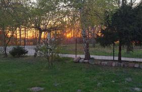 Sielanka Wydmy i Las - Foto 12