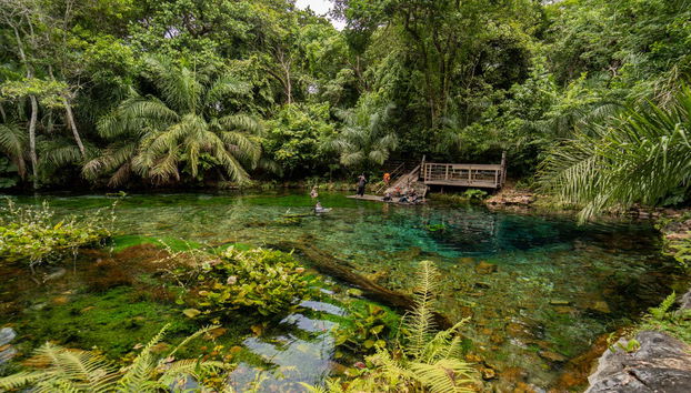 Admirez les paysages