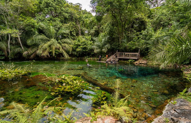 Snorkeling dans la rivière Bonito - Foto 8