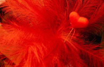 Love room Casa Amore - Foto 29