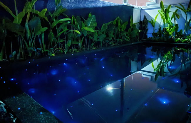 Contemporary 3bd Safari Pool Villa Near Nai Yang Beach - Foto 36