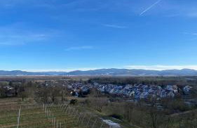 Ferienwohnung Glöckler - Photo 21