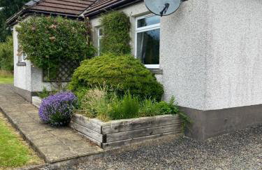 Gamepark Wood Holiday Cottage - Foto 22